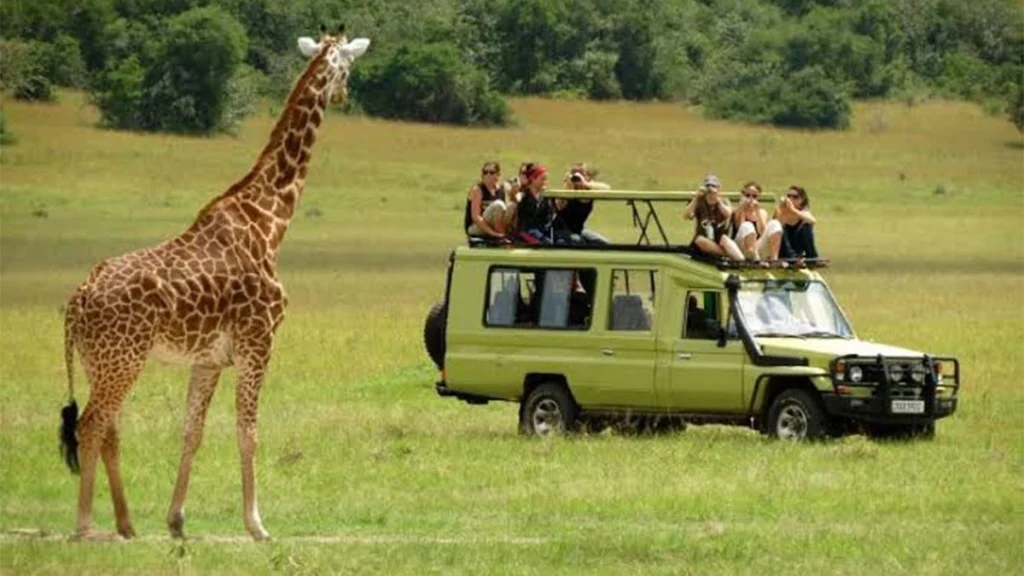 Top 4x4 Cars for Uganda Safaris